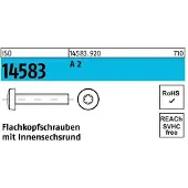 F. REYHER Nchfg. GmbH & Co. KG Flachkopfschraube ISO 14583 m.Innensechsrund M 4 x 20 A 2