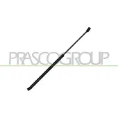 PRASCO Gasfeder, Koffer-/Laderaum OP4209055