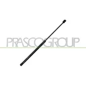PRASCO Gasfeder, Koffer-/Laderaum AD1209055