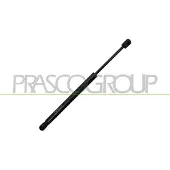 PRASCO Gasfeder, Koffer-/Laderaum SK2019055