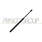 PRASCO Gasfeder, Koffer-/Laderaum VG2019055