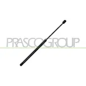 PRASCO Gasfeder, Koffer-/Laderaum OP4109065