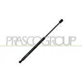 PRASCO Gasfeder, Koffer-/Laderaum RN7509055