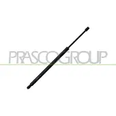 PRASCO Gasfeder, Koffer-/Laderaum VG1019055