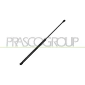 PRASCO Gasfeder, Koffer-/Laderaum ST0379055