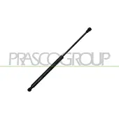 PRASCO Gasfeder, Motorhaube BM0249005