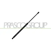 PRASCO Gasfeder, Koffer-/Laderaum PG3269065