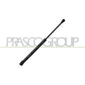 PRASCO Gasfeder, Motorhaube BM1209005