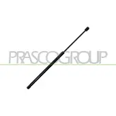 PRASCO Gasfeder, Koffer-/Laderaum OP3509055