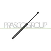 PRASCO Gasfeder, Koffer-/Laderaum CI3289055