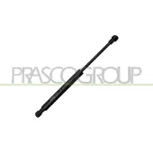 PRASCO Gasfeder, Koffer-/Laderaum AA0909055