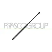 PRASCO Gasfeder, Koffer-/Laderaum SK3249055