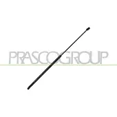 PRASCO Gasfeder, Motorhaube VG0389001