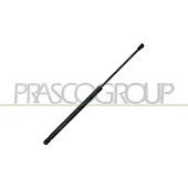 PRASCO Gasfeder, Koffer-/Laderaum CI2069059