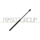 PRASCO Gasfeder, Motorhaube BM8229005