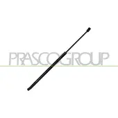 PRASCO Gasfeder, Koffer-/Laderaum OP4209065