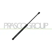 PRASCO Gasfeder, Koffer-/Laderaum DW3249055