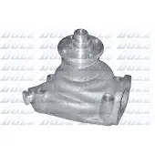 DOLZ Wasserpumpe p318 für NISSAN