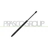 PRASCO Gasfeder, Koffer-/Laderaum OP3549055