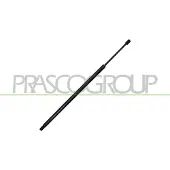 PRASCO Gasfeder, Koffer-/Laderaum VG9049055