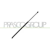 PRASCO Gasfeder, Motorhaube VG4009001