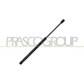 PRASCO Gasfeder, Koffer-/Laderaum HN2009055