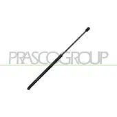 PRASCO Gasfeder, Koffer-/Laderaum VG0259055
