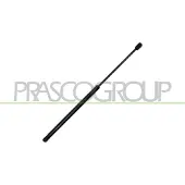 PRASCO Gasfeder, Koffer-/Laderaum AD3209065