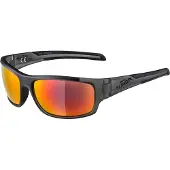 Alpina Brille TESTIDO