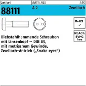 F. REYHER Nchfg. GmbH & Co. KG Schraube R 88111 diebstahlhemmend Liko/Zweiloch M 5 x 12 A 2
