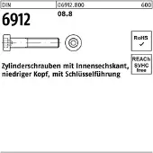 FAST-X Zylinderschraube DIN 6912 m.Innensechskant M 6 x 70 8.8