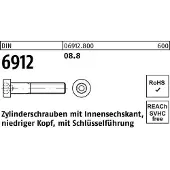FAST-X Zylinderschraube DIN 6912 m.Innensechskant M 10 x 18 8.8
