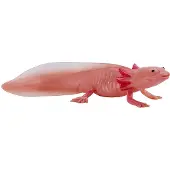 MOJO Axolotl, 3 Jahr(e), Wildlife, Pink, Polyvinylchlorid (PVC)