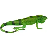 Mojo Fun Iguana, 3 Jahr(e), Wildlife, Grün, Schwarz, Polyvinylchlorid (PVC)