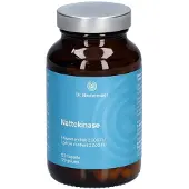 Regulatpro Dr.niedermaier Nattokinase 100 mg mono Hartkapseln 120 St