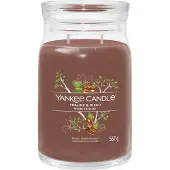 Yankee candle Signature Praline & Birch 567 g