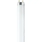 Osram NATURA, 30 W, G13, T8, 20000 h, 1300 lm, Neutralweiß