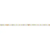 Brumberg 15572027