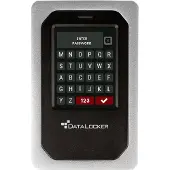 DataLocker DL4 FE - Festplatte - verschlüsselt - 1 TB - extern (tragbar)