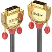 Lindy Dvi — Dvi