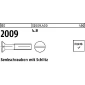 Reyher ISO 2009 - Stahl 4.8 blank - M 20x60 - Senkschrauben mit Schlitz