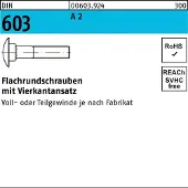 F. REYHER Nchfg. GmbH & Co. KG Flachrundschraube DIN 603 m.Vierkantansatz M 8 x 65 A 2