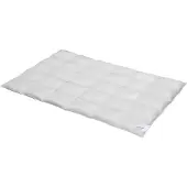 Bettwaren-Shop Daunendecke Exclusiv medium, Füllung: 100% Daunen 135/140x200 cm