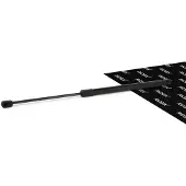 RIDEX Heckklappendämpfer FIAT 219G0135 46784995,46784994