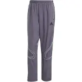 Adidas Jogginghose Teamgeist adicolor JW5870 Grau Loose Fit