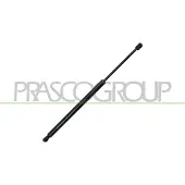 PRASCO Gasfeder, Koffer-/Laderaum FD6029055