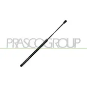 PRASCO Gasfeder, Koffer-/Laderaum DS0119055