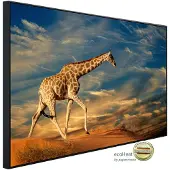Papermoon Infrarotheizung »EcoHeat - Giraffe«, Matt-Effekt - bunt