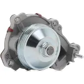DAYCO Wasserpumpe DP2174