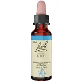 Bach Bachblüten Original 3 Beech Tropfen 10 ml